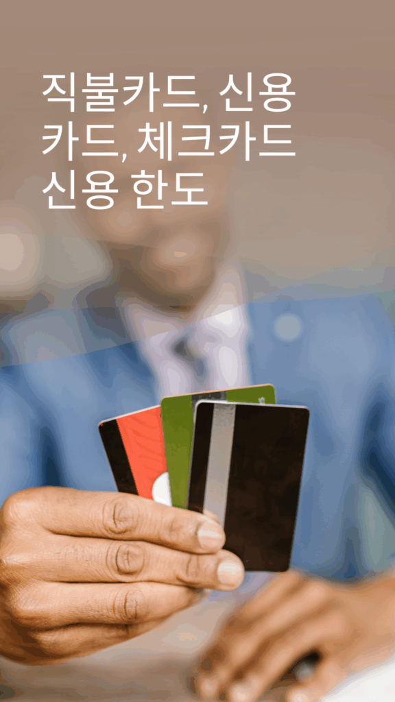 체크카드 신용한도부여 뜻